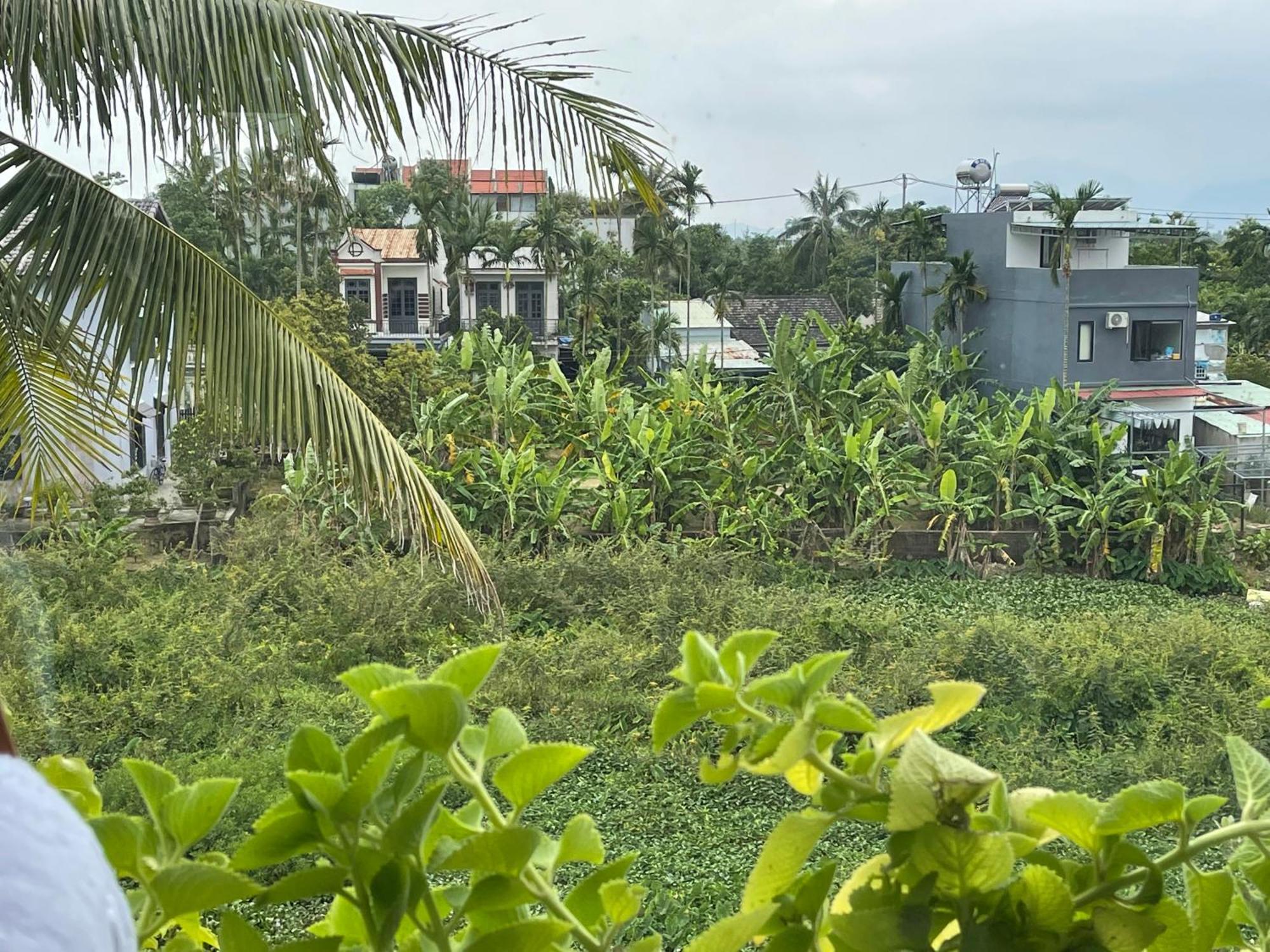 Hoi An Ti Hon House Villa Dış mekan fotoğraf