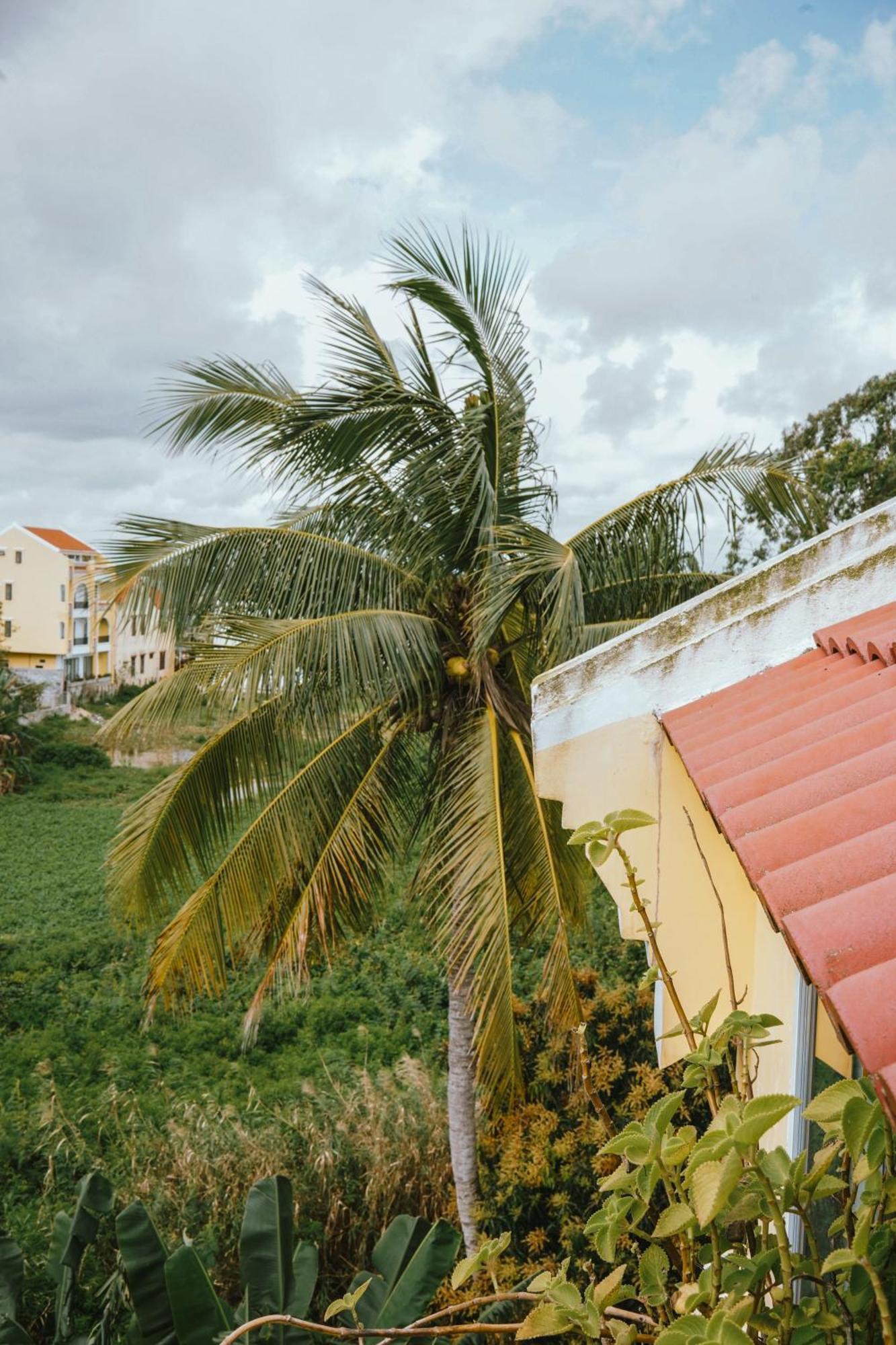 Hoi An Ti Hon House Villa Dış mekan fotoğraf